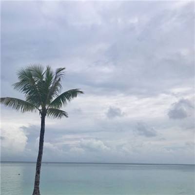 神界战纪内购破解版下载